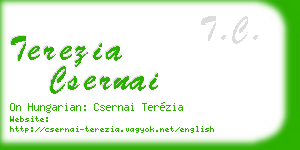 terezia csernai business card