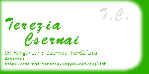 terezia csernai business card
